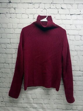 Haider Ackermann Burgundy Ribbed Turtleneck Sweater size S